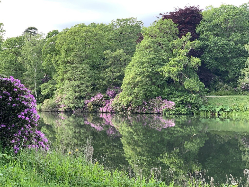 harewood house